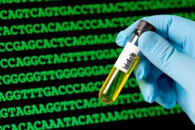 Synthetic Biology conference in Zurich